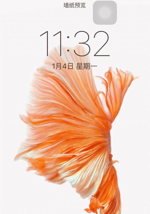 如何设置iPhone动态壁纸自动播放（简单步骤帮你定制个性化主屏幕）