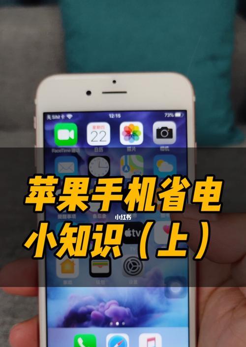 如何鉴定苹果iPhone正品（简单易行的小技巧让你轻松识别真假iPhone）