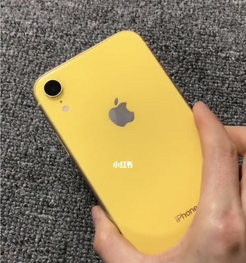 如何辨别真假iPhone（全面揭秘鉴别iPhone真假的方法与技巧）