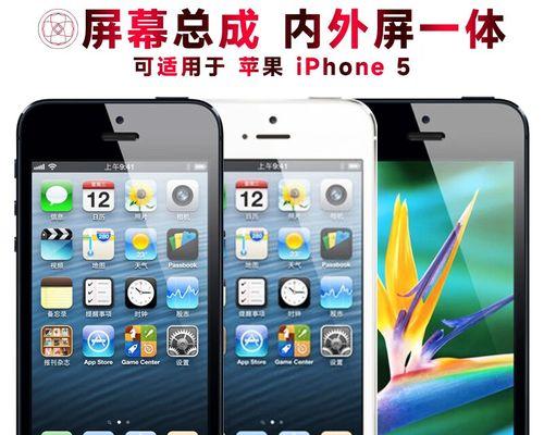 iPhone5屏幕及听筒更换教程（快速学会更换iPhone5屏幕和听筒的方法）