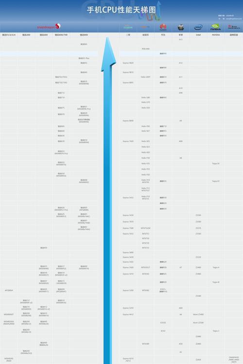探究处理器排行榜天梯图的价值与意义（揭秘处理器排行榜，寻找性能巅峰）