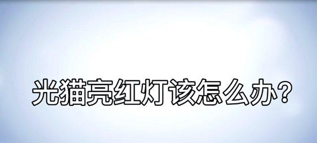 猫亮红灯（探究猫亮红灯的原因及可能影响）