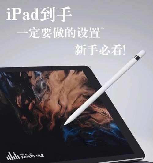 iPod型号全面解析（探索iPod的发展历程和多样性，深入了解每一个型号的独特之处）