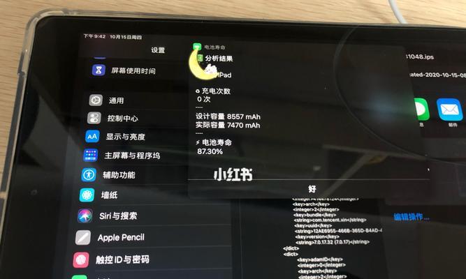如何检测iPad电池健康程度（掌握关键方法，延长电池使用寿命）
