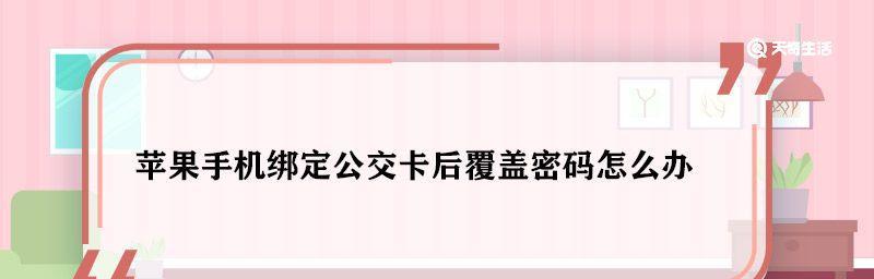 苹果公交卡支持的城市名单及使用指南（全国范围内可使用苹果公交卡的城市列表及相关信息）