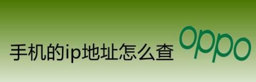 探寻苹果手机IP地址的秘密（了解苹果手机IP地址的重要性及查询方法）