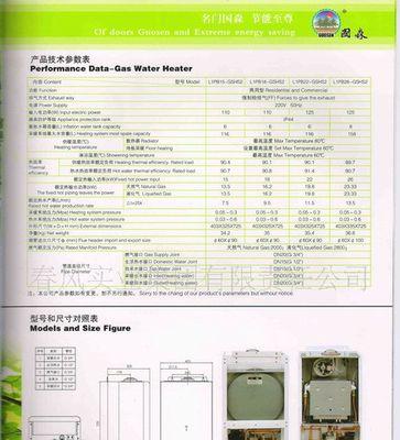 国森壁挂炉显示E9问题及解决方法（深入分析E9故障原因）