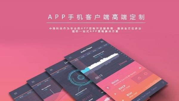 探索以APP网站定制开发为主题的创新之路（开发自己的APP网站）