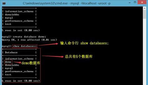 CMD强制删除指令（详解常用CMD强制删除指令及使用技巧）