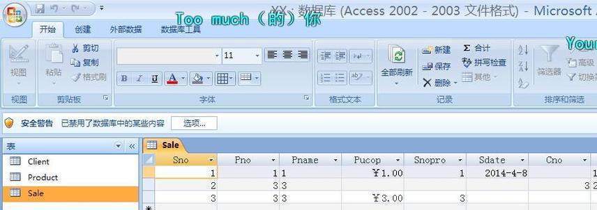 认识Access数据库：了解其功能和特点