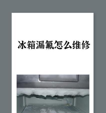 如何判断海尔冰箱是否漏氟（简单有效的方法帮您检测冰箱漏氟情况）