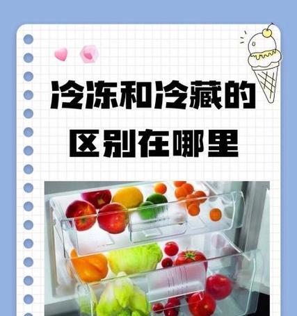 冷冻与冷藏的区别及其应用领域（冷冻和冷藏在食品储存和保鲜中的不同作用）